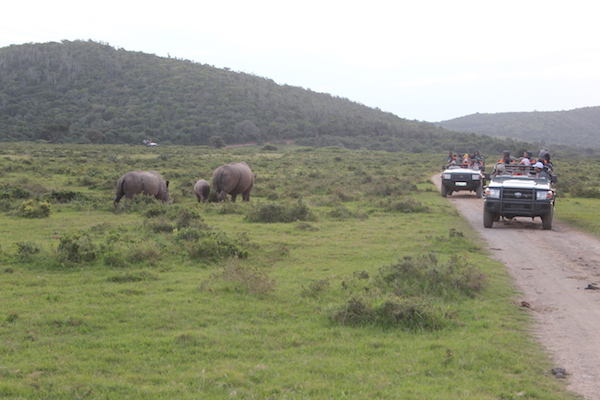 Kariega Texas Battle Rhino Thandi