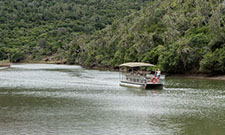 Kariega River Boat Cruise