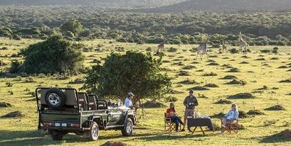 kariega-game-reserve-honeymoon-safari