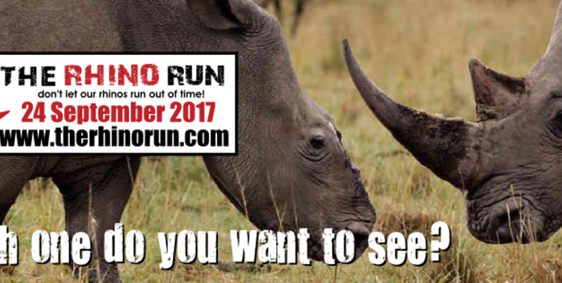 rhino-run-2017.png