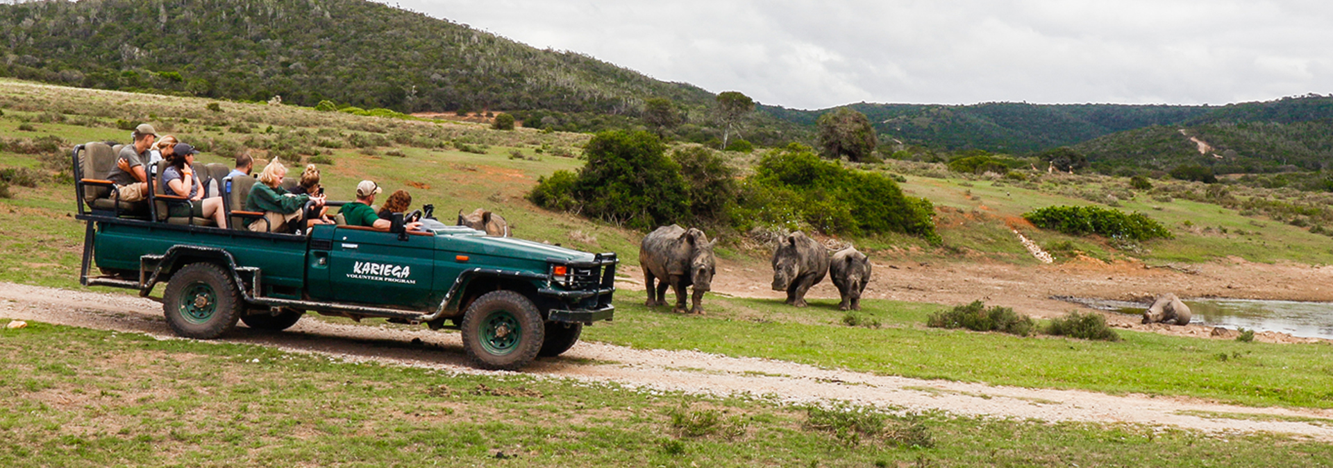 Rhino viewing banner.jpg