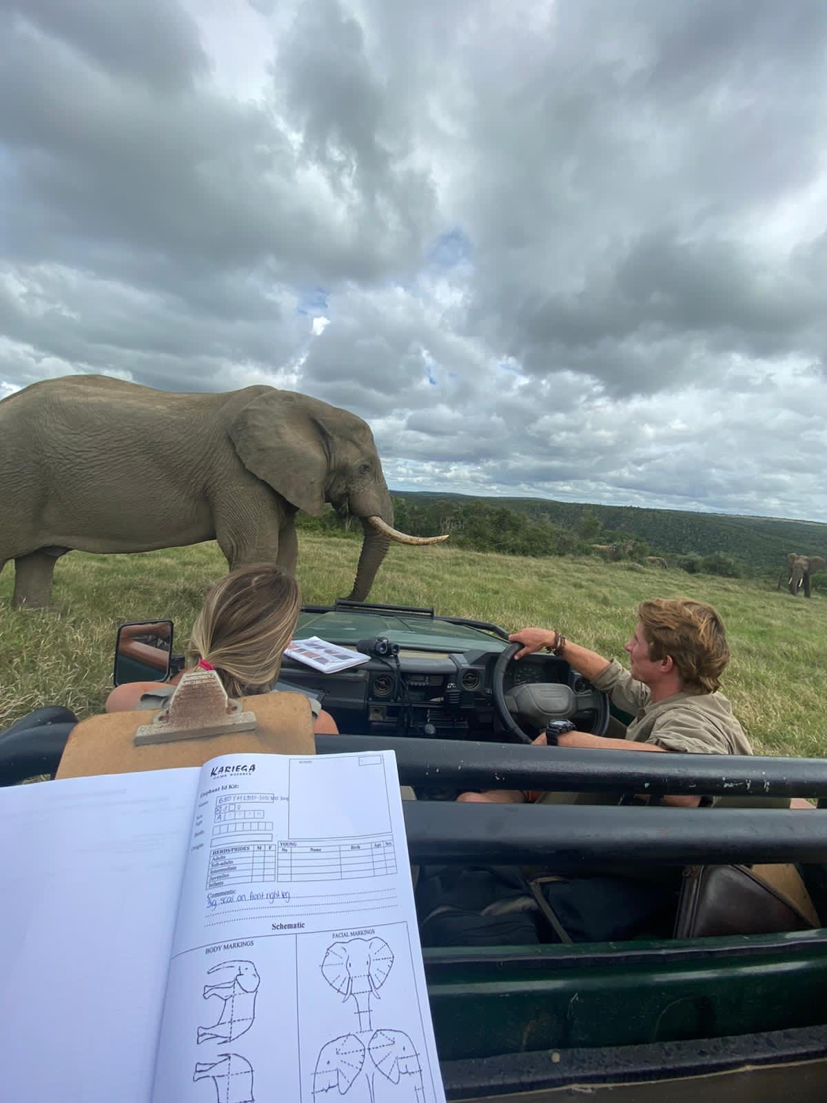 African Elephant Monitoring Kariega