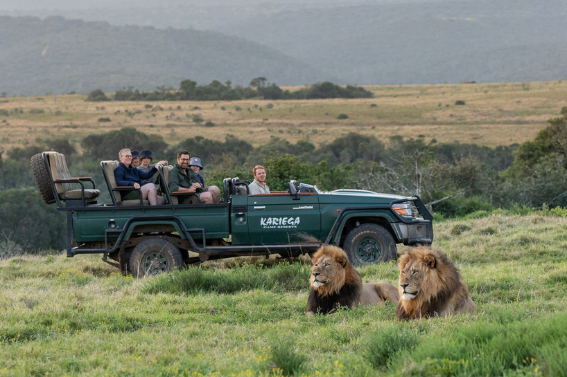 Kariega Lion Brendon Jennings