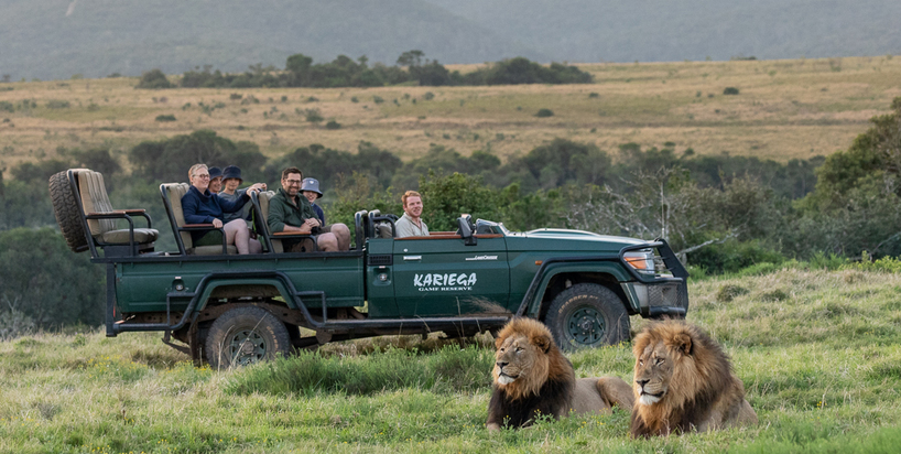 Kariega Lion Brendon Jennings