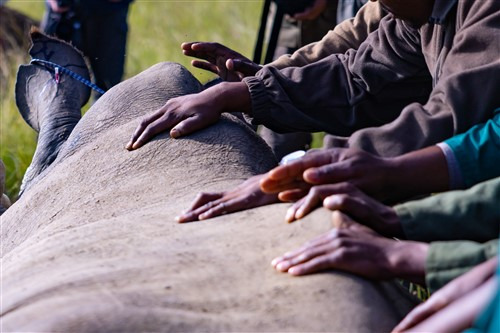 Kariega Foundation conservation through community