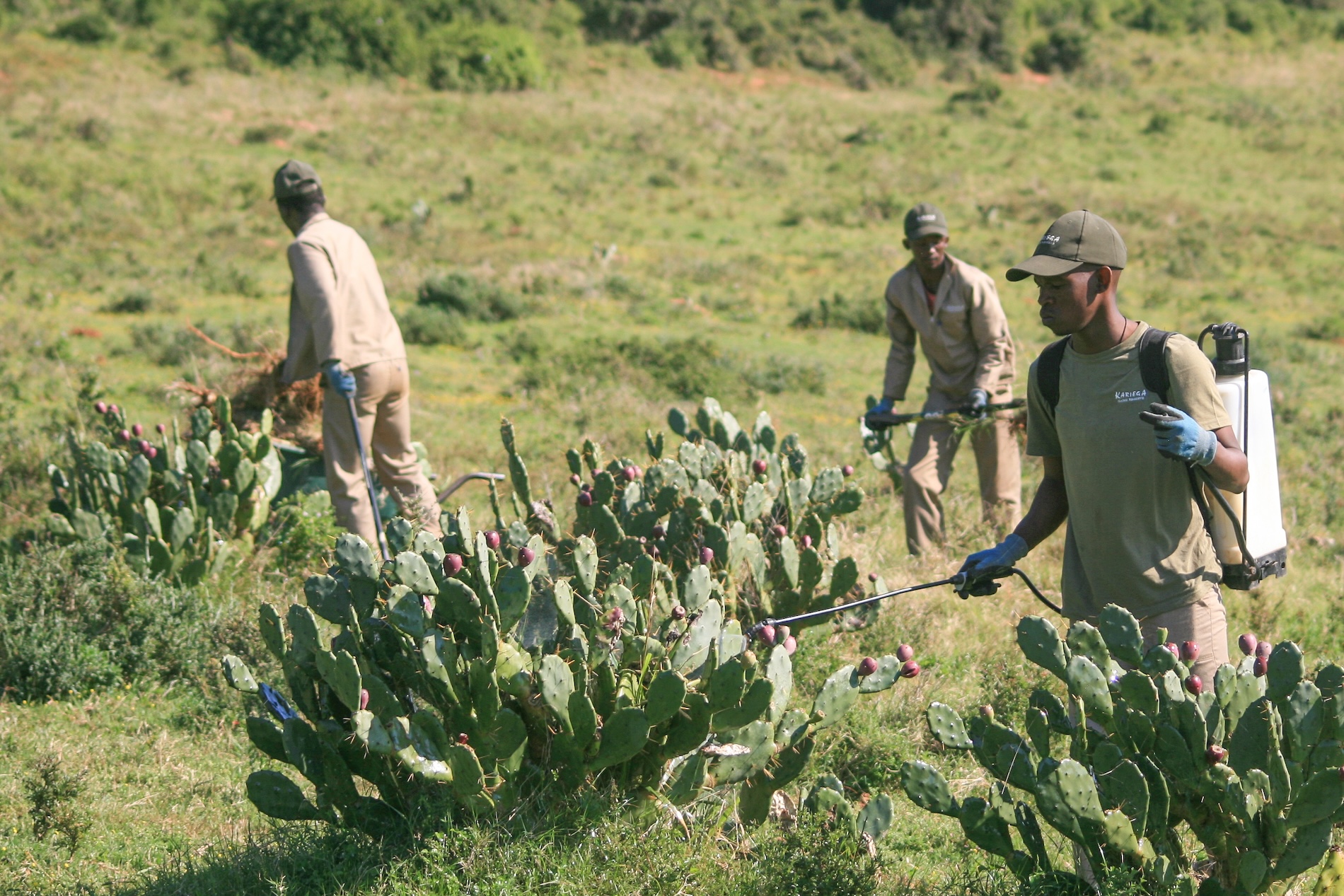 Kariega Foundation Alien Plant Control team