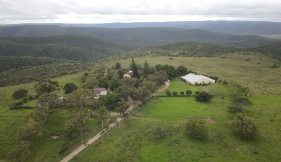 Kariega-Volunteer-Accommodation-Aerial-View-2_1725021838446