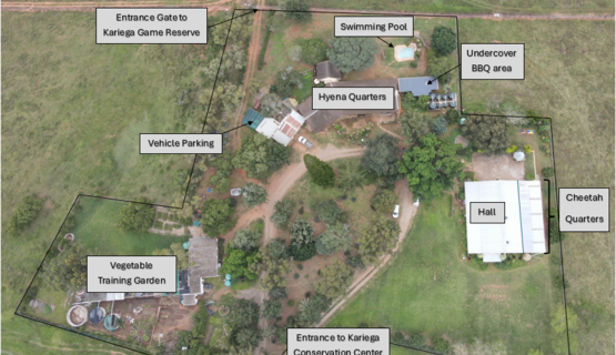 Kariega-Volunteer-Accommodation-Aerial-View-1_1725021838390