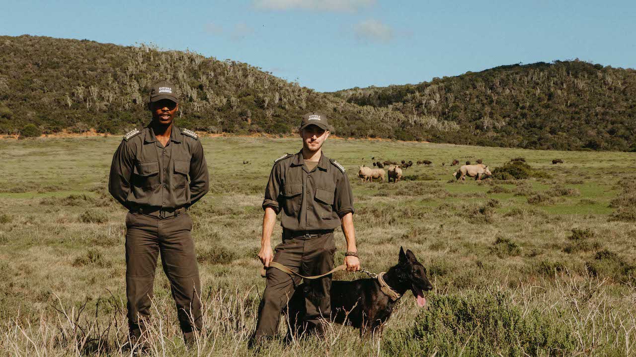 The APU Unit protecting a preserved species the rhino with the help of the K9 dog 