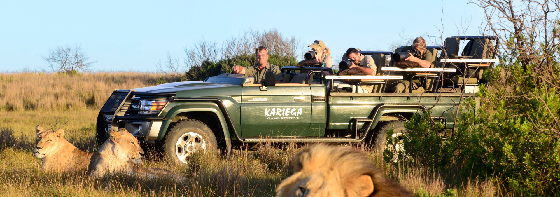 Photosafari viewing Lion