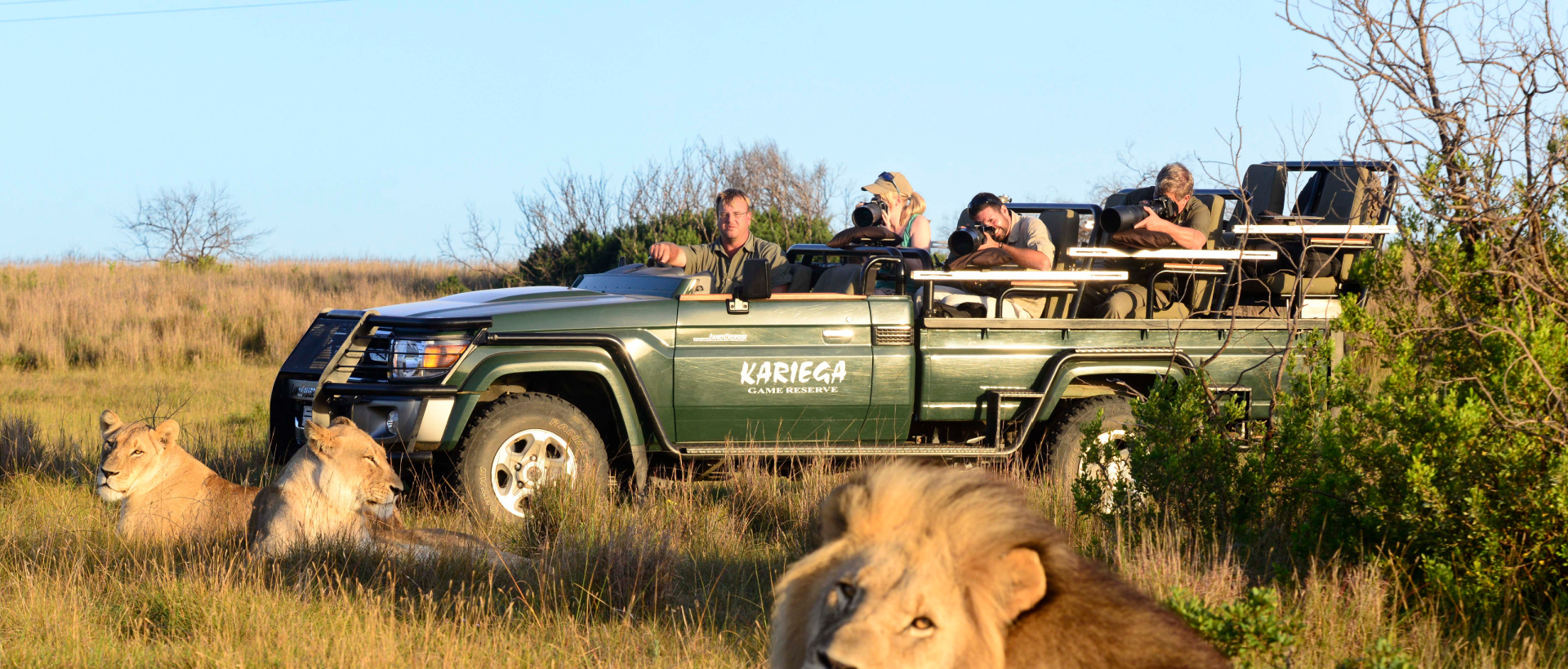 Photosafari viewing Lion