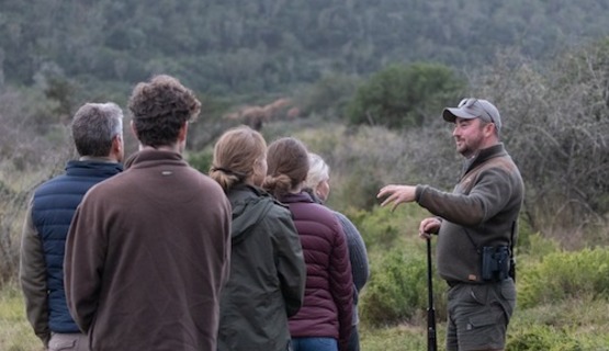 Viewing of elephants on a guided bush walk