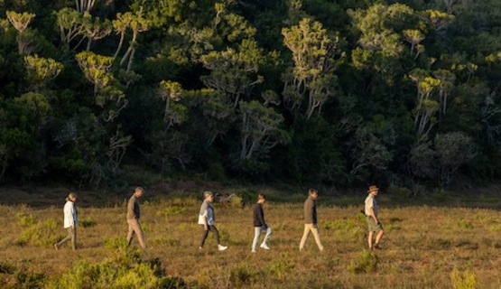 A guided bush walk 