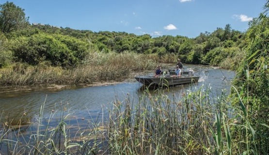 River Cruise on the Bushmans River_1730962584201