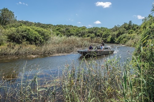 River cruise on bushmans river