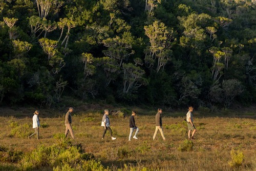 A guided bush walk 