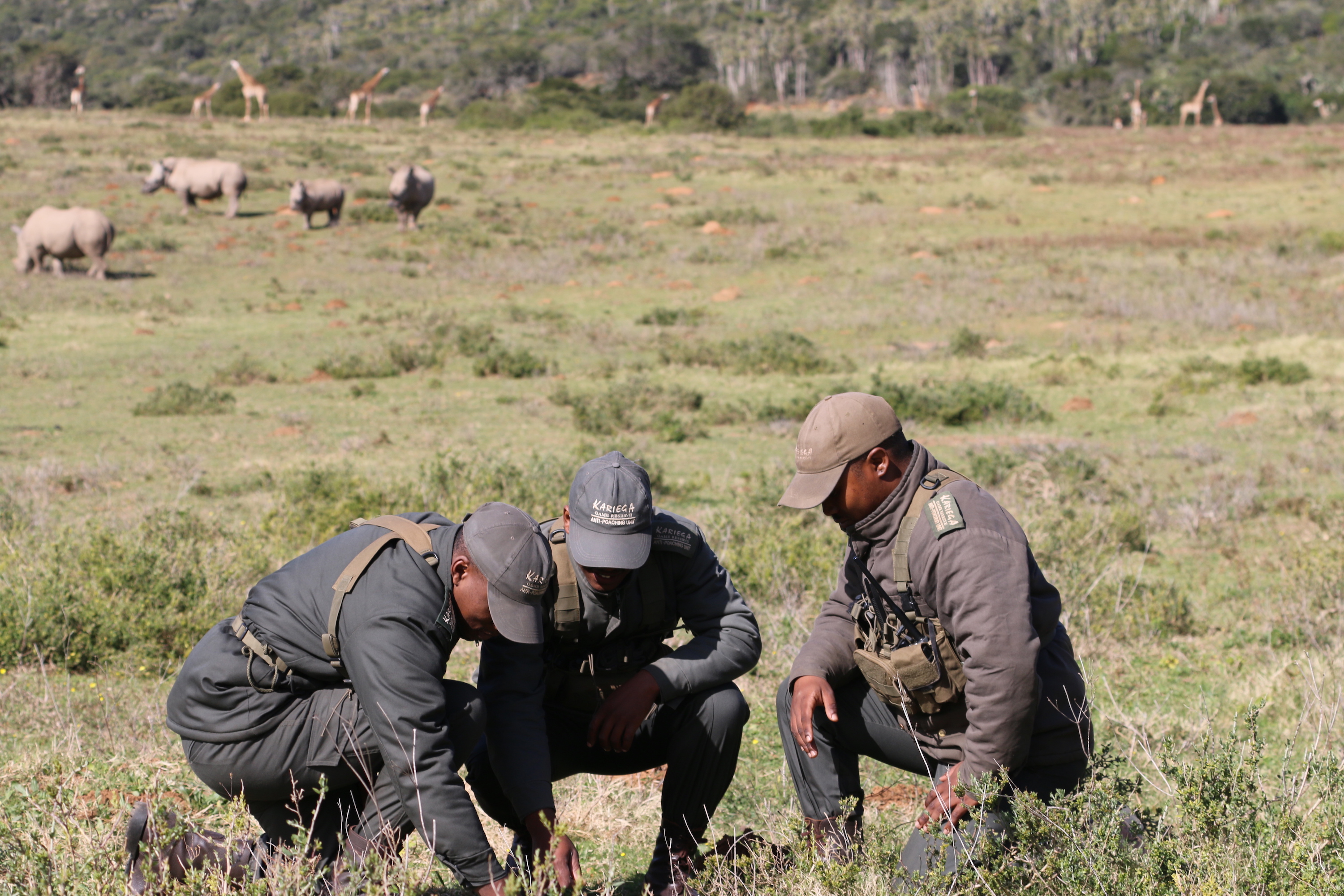 Our Anti Poaching Unit preserving an almost extinct species