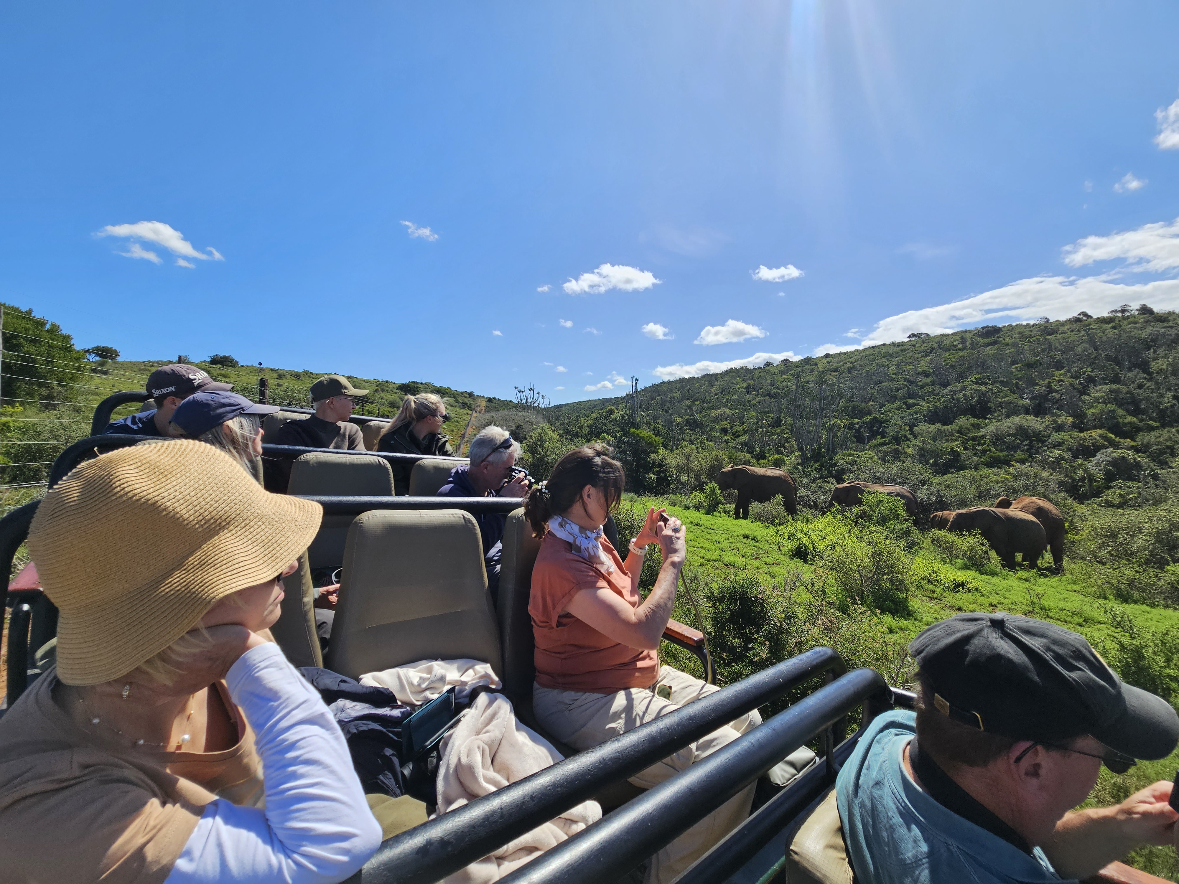 Volunteers monitoring elephants