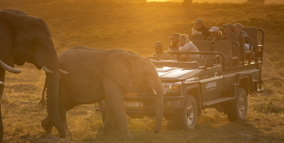 A safari - Kariega guests viewing elephants- Brendon Jennings 