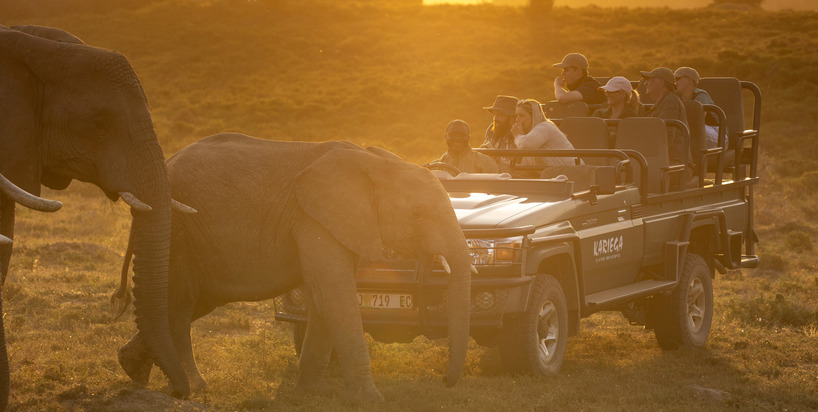 A safari - Kariega guests viewing elephants- Brendon Jennings 