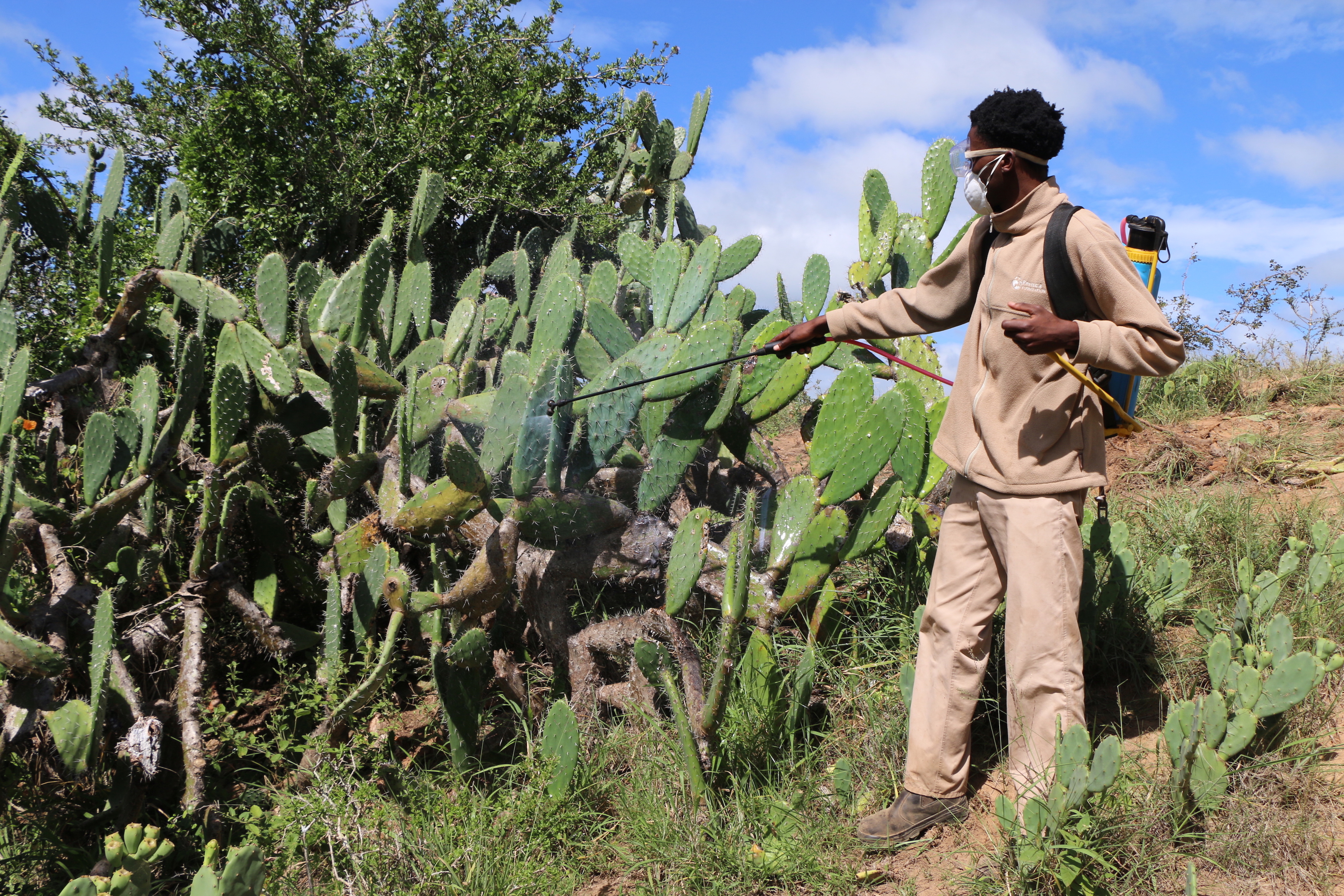 Kariega Alien Plant Control Team spraying invasive species 